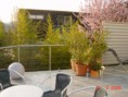 /album/beschattung/terrasse-02-jpg/